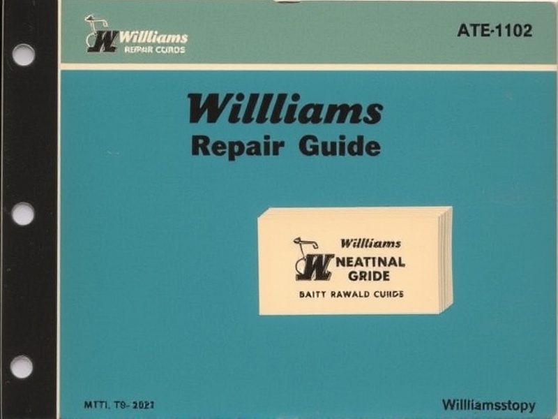 williams wpc repair guide